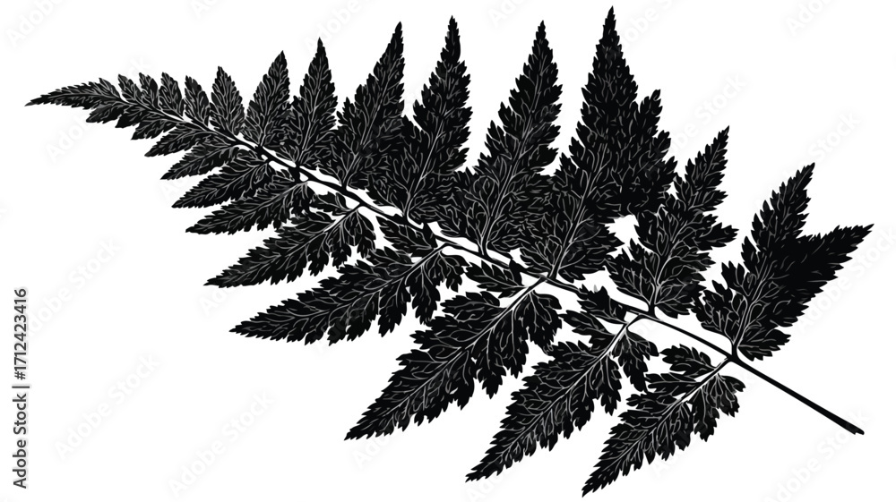 Naklejka premium Exquisite Fern Vector Illustration Featuring Wild Plant Leaves Held in Hand