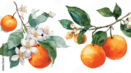 Vibrant Orange Branches with Fresh Oranges and Blooming Flowers