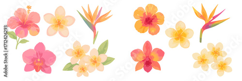 Vibrant watercolor tropical flowers including hibiscus, plumeria, bird of paradise, and orchid blossoms in a beautiful collection