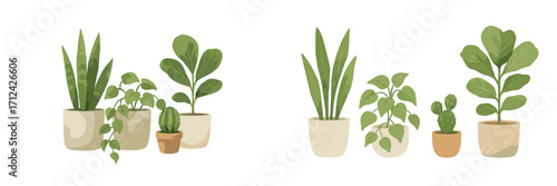 Beautiful indoor plants in simple pots arranged creatively on a clean, bright background