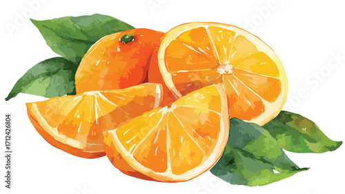 Vibrant Fresh Orange Watercolor Slices on White Background