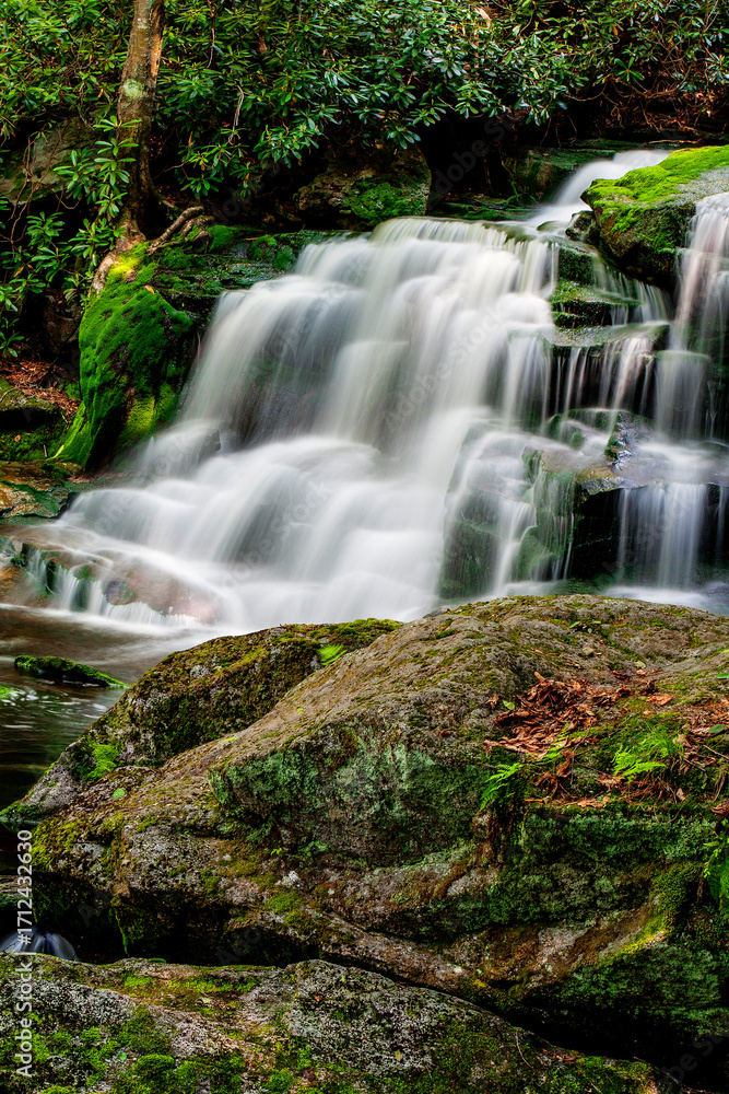 Fototapeta premium Elakala Falls Number Two, Blackwater Falls State Park, West Virginia