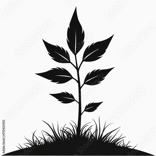 High contrast nature renew - silhouette of a black sprout on grass  