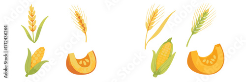 Vibrant autumn harvest collection with golden wheat stalks, fresh corn cobs, and ripe pumpkin slices, perfect for seasonal designs