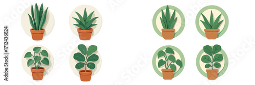 Diverse set of potted green houseplants featuring different leaf shapes and plant varieties on circular backgrounds