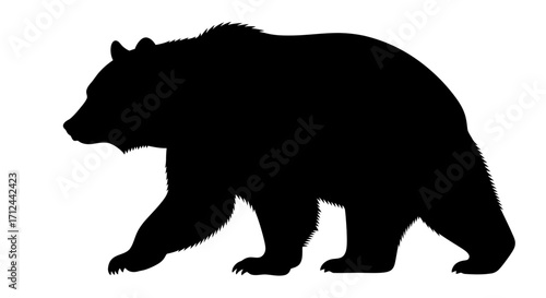 Silhouette of a large bear walking, profile view.