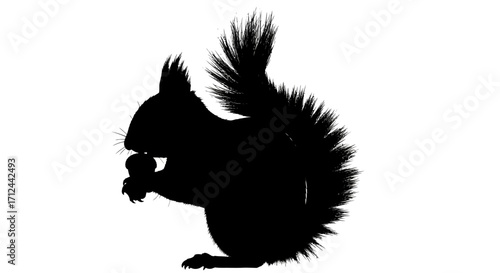 Silhouette of a squirrel holding and eating a nut, with a fluffy tail.