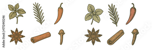 Hand drawn collection of fresh culinary herbs and dried aromatic spices including basil, rosemary, chili pepper, star anise, cinnamon stick, and clove