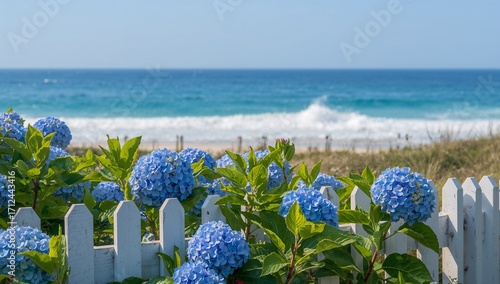 Vibrant blue hydrangeas bloom by a seaside fence
