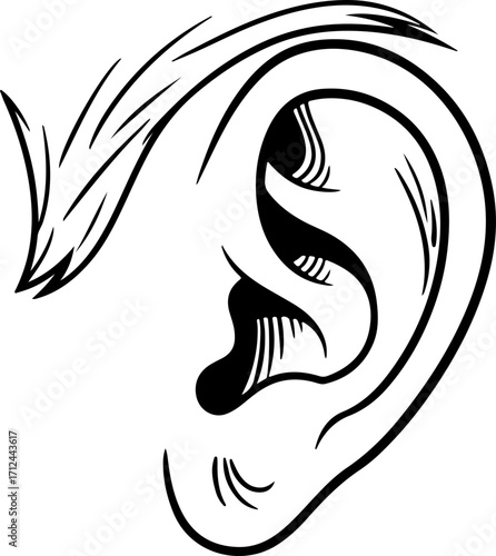 Human Ear Line Art Vector Illustration