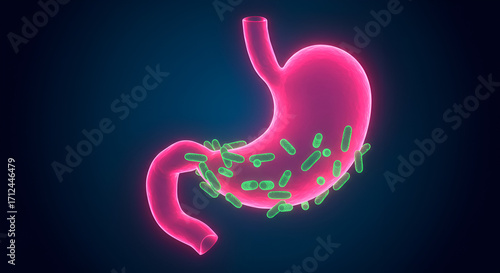 Wallpaper Mural Human stomach anatomy with beneficial bacterial flora for digestive health Torontodigital.ca