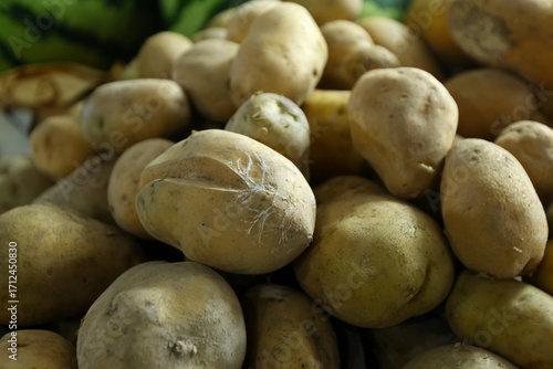 Konstfotografi Unwashed potatoes are stacked in a loose mound, their pale skins marked by eyes, scuffs, and traces of soil