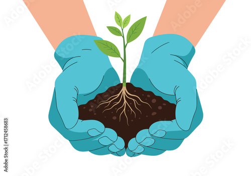 Hands carefully holding a young plant with roots in the soil.