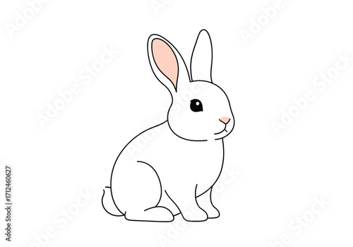 A cute white rabbit sitting patiently in a plain white background.