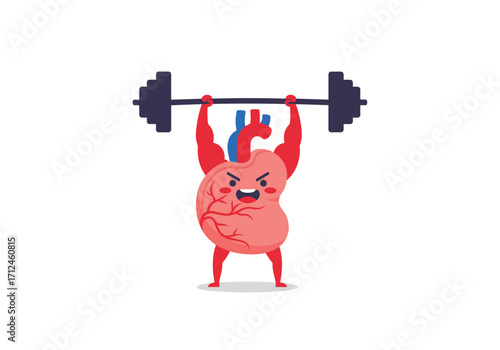 A strong heart lifting weights representing fitness.