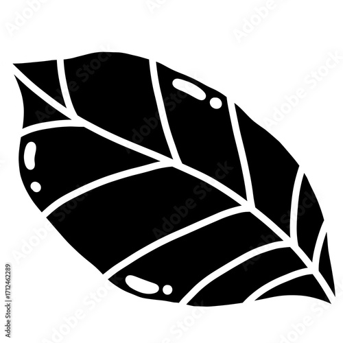 black leaves
