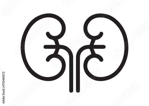 Kidney line art vector, Kidney Icon