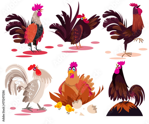 Chicken animal icons colorful cartoon sketch