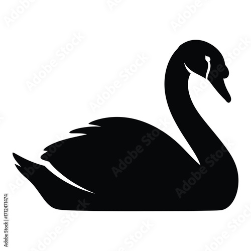 Elegant black swan silhouette majestic bird symbol elegant graceful nature wildlife aquatic animal silhouette silhouette