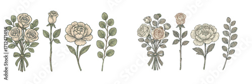 Elegant hand-drawn botanical set featuring various roses, lush peonies, and graceful eucalyptus foliage in a classic vintage style