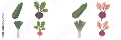 Collection of fresh garden vegetables including green zucchini, purple beets, green leeks, and red radishes isolated on white background