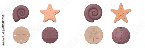 Collection of stylized marine life elements including starfish, sand dollar, sea urchin, and snail shells