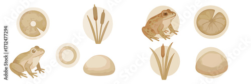 Amphibian and aquatic plant collection with frogs, water lily pads, and cattails in a serene pond habitat