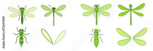 Green dragonfly and damselfly insects, including larvae and separate wings, depicted in a simplified flat graphic style