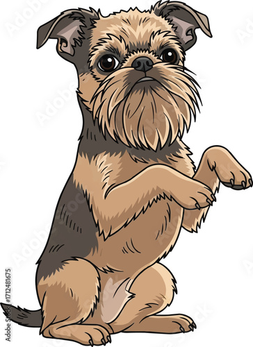 Brussels Griffon dog sitting on hind legs begging pose illustration