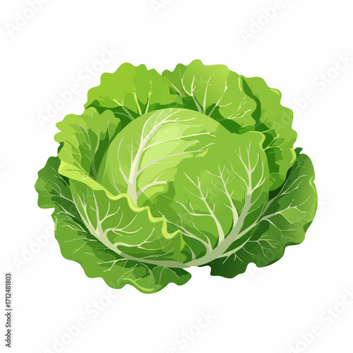Kopfsalat