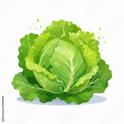 Kopfsalat