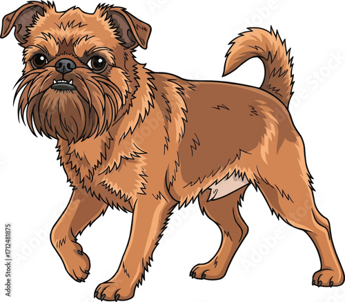 Brussels Griffon dog walking side view vector illustration