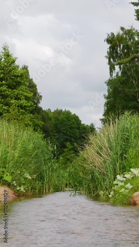 Beautiful view of forest river in summer