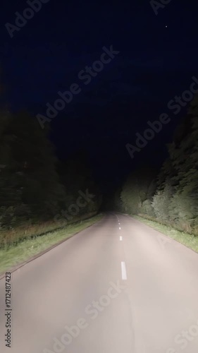 By car on a night forest road