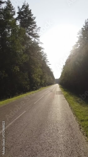 Along the forest road towards the sun