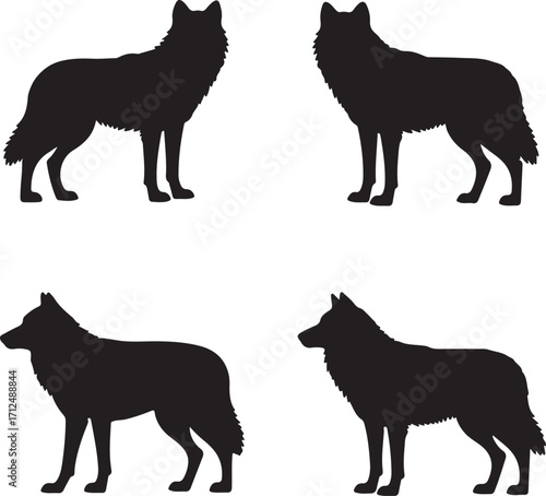 Set of wolf silhouettes on white background .