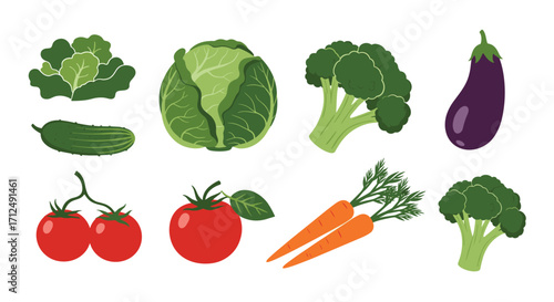 Collection of Fresh Vegetables Isolated on White Background.