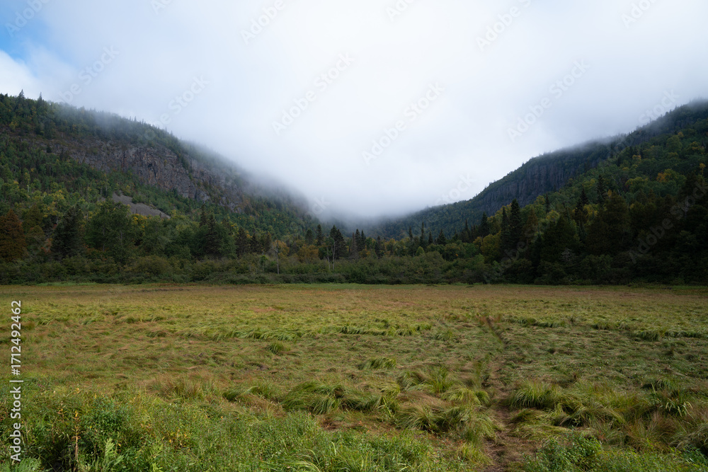 Naklejka premium flat grass clearing surrounded by dense forest and towering cliffs at Sleeping Giant Provincial Park in Ontario, Canada.