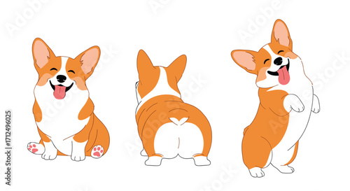 Happy corgi dogs in different poses showing their cute smiles.