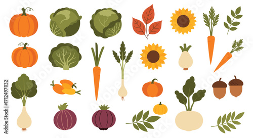 An autumnal harvest assortment of fresh vegetables and flowers.