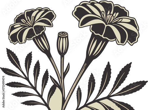 Marigold Flowers Line Art Illustration