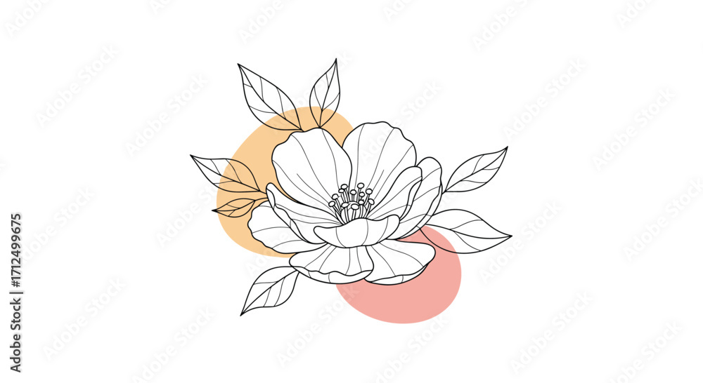 Obraz premium Botanical floral illustration with abstract shapes and delicate lines.