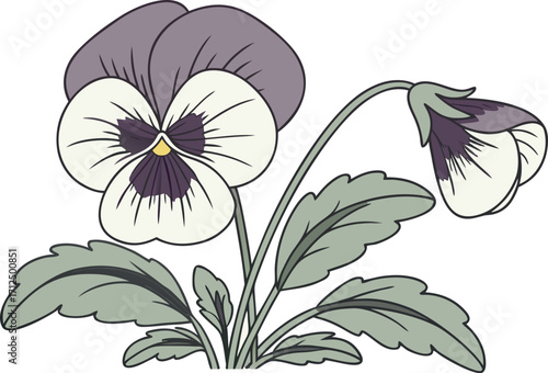Elegant Pansy Flowers Illustration
