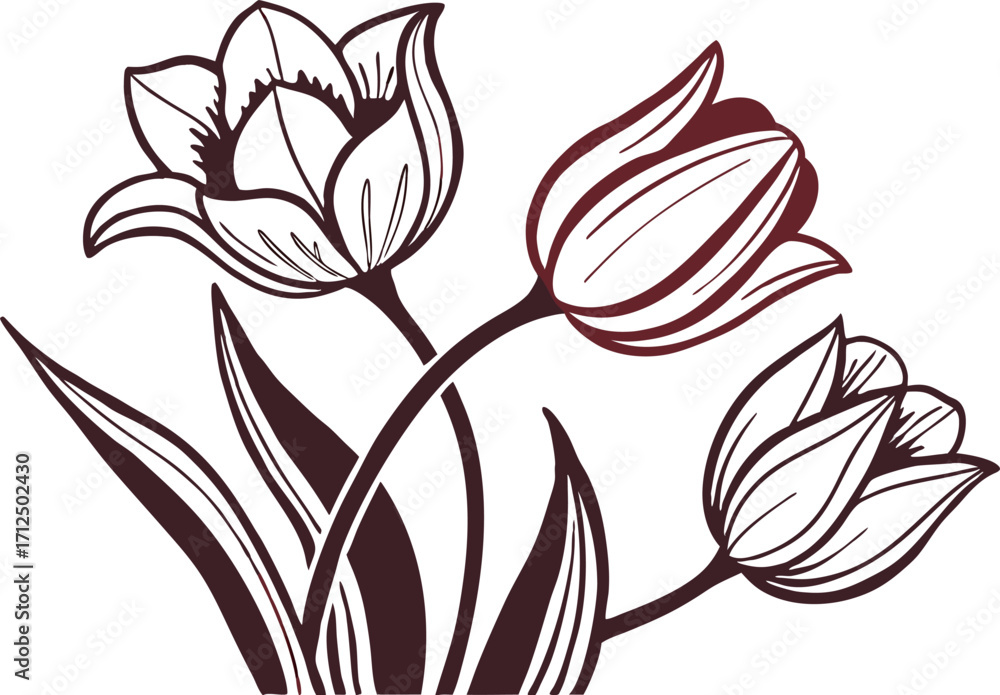Obraz premium Elegant Line Art Tulips