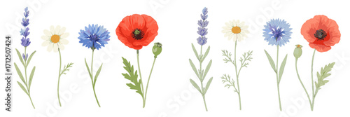 Colorful wildflowers arranged neatly with green leaves on a plain background, showcasing nature's beauty and diversity