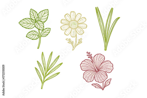 Colorful floral and leafy embroidery designs featuring a daisy, hibiscus, mint, and grass elements for creative projects