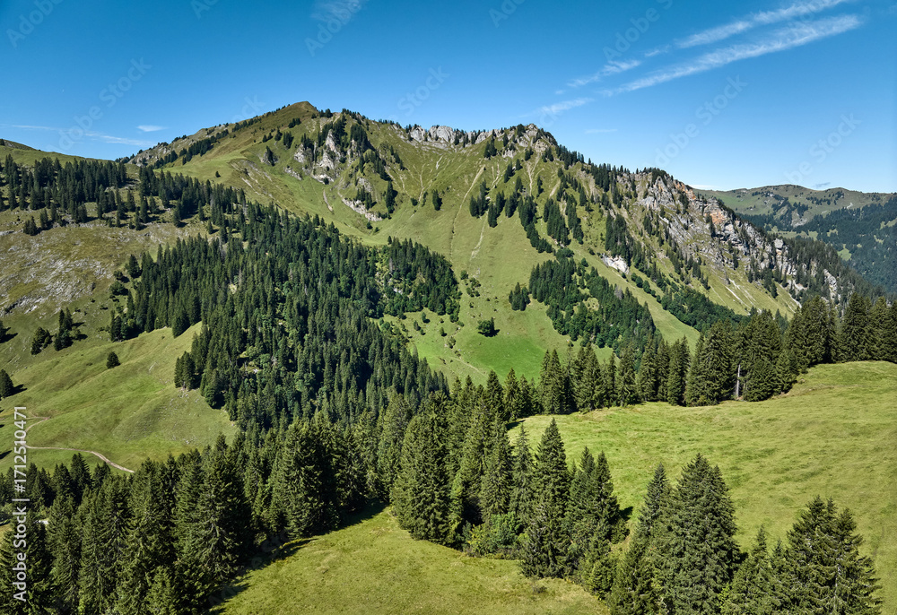 Fototapeta premium Mountain Landscape below Didamskopf summit in the Bregenz Forest Mountains near village of Au, Vorarlberg, Austria