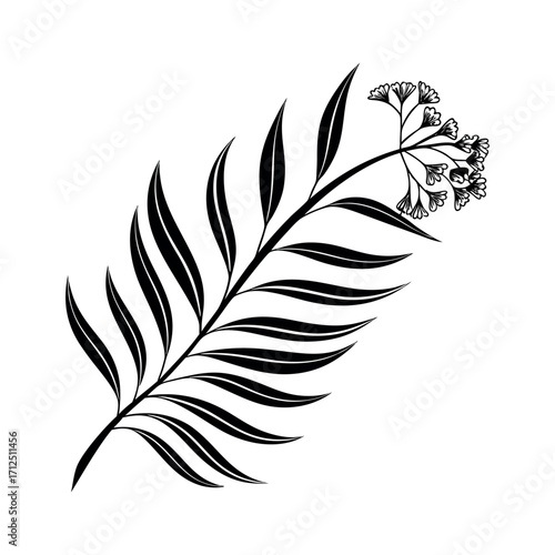 A vintage vector illustration set of feathered bird quills and natural leaves, a simple art design for writing
