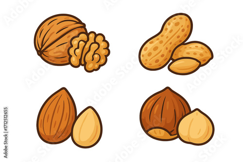Nuts icon set cartoon style. Vector illustration collection with walnut, peanut, almond, and hazelnut. Healthy food snack ingredient for design. Isolated on white background.