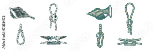 Assortment of classic maritime objects including different types of rope knots, conch shells, and a boat mooring cleat